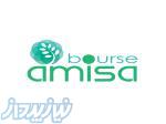 آمیسا بورس 