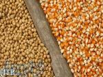 فروش ذرت وسویا وسایرنهادهای دامی وطیور