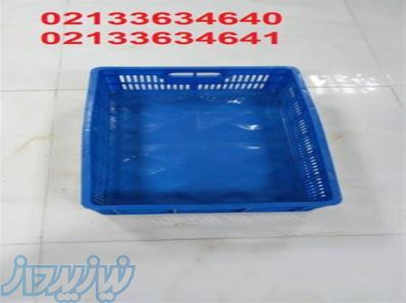 سبد خرما ، سبد خرمایی 