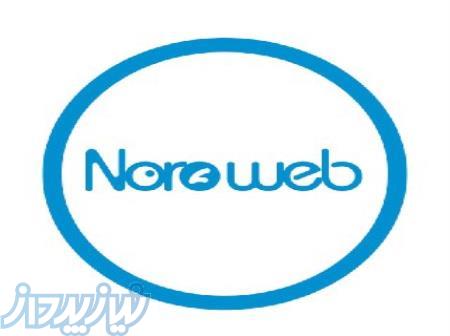 طراحی فوق حرفه ای وب سایت 