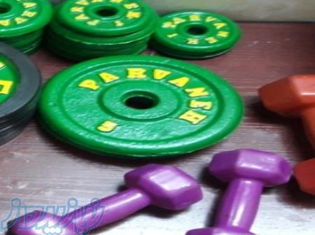 وزنه و دمبل و هالتر و میله هالتر 