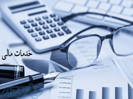 خدمات مالی و مالیاتی نارون 