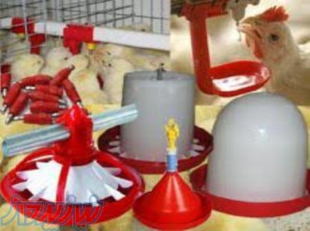 فروش آبخوری و دانخوری مرغ 