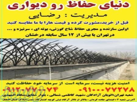 حفاظ شاخ گوزنی ، حفاظ دیوار ، حفاظ روی دیوار