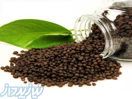 دی آمونیوم فسفات خرید و فروش عمده دی آمونیوم فسفات گرانول در تهران 