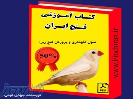 کتاب آموزشی فنچ 