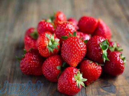 تولید و فروش انواع اسانس خوراکی بصورت مایع کاربرد در صنایع غذایی و دارویی 