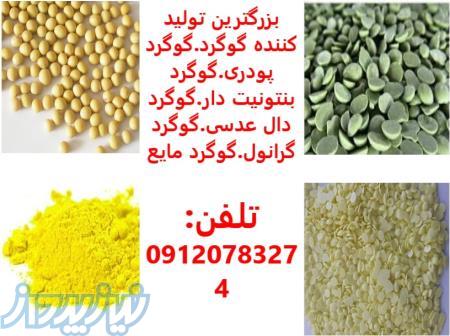 بزرگترین تولید کننده گوگرد,گوگرد گرانول,گوگرد پودری,گوگرد دال عدسی,گوگرد کلوخه,گوگرد بنتونیت دار 
