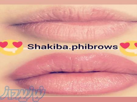 اموزش میکروپیگمنتیشن 