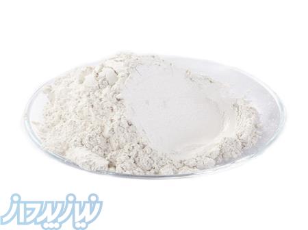 افزودنی دیرگیر کننده 