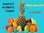 خرید اینترنتی میوه در شهر تهران با راسال فوری 