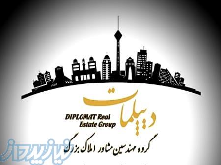 املاک بزرگ دیپلمات 