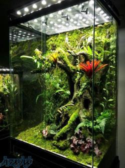 ویواریوم ، تراریوم و پالوداریوم 