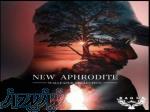 آلبوم کاغذ دیواری نیو افرودیت New Aphrodite 