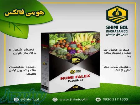 هومی فالکس(شیمی گل) 