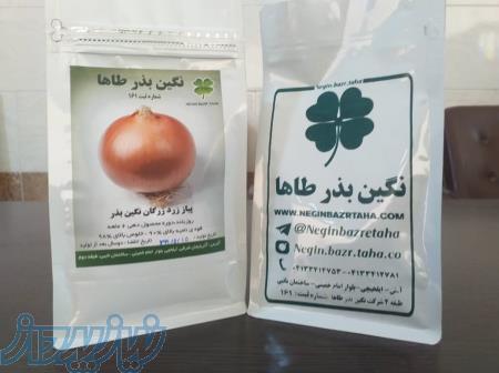 بذر پیاز زرد هفت پوست زرگان شرکت نگین بذر