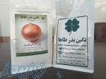بذر پیاز زرد هفت پوست زرگان شرکت نگین بذر