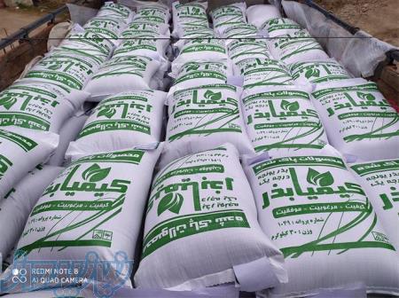 فروش بذر یونجه تضمینی ، بذر یونجه همدانی اصیل ، بذر یونجه سردسیری و گرمسیری