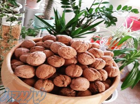 فروش عمده انواع گردو ومغزگردوی آذرشهر درآذراکسپو 