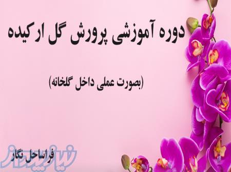 دوره آموزشی کشت ارکیده 