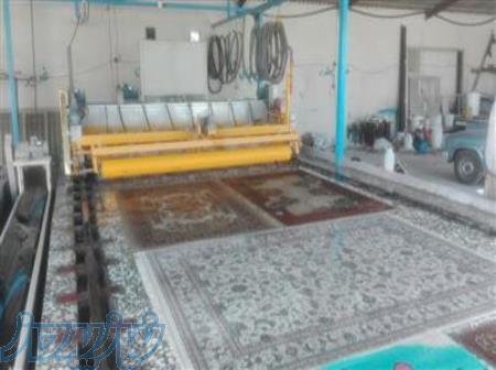 قالیشویی با قیمت ارزان در غرب تهران 