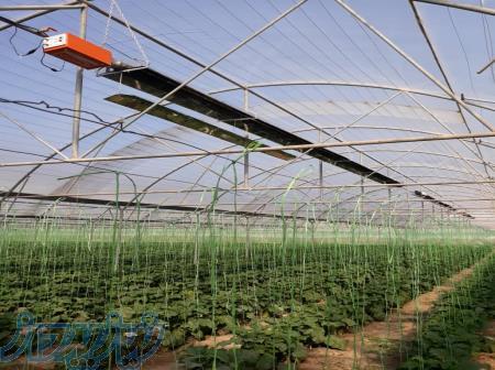 بخاری گلخانه، گرمایش تابشی گلخانه، بخاری تابشی گلخانه، بخاری آویزی گلخانه،هیتر تابشی گلخانه 