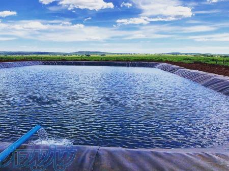 دوره آموزشی پرورش ماهی قزل آلا 