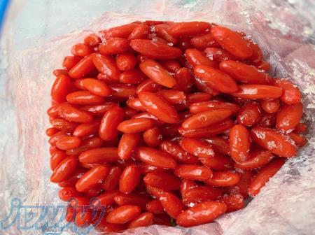 دوره آموزشی کشت گوجی بری 