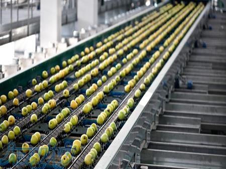 دستگاه سورتر میوه