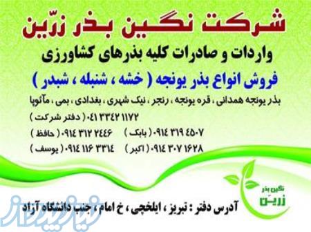 بذر یونجه اصیل نیک شهری