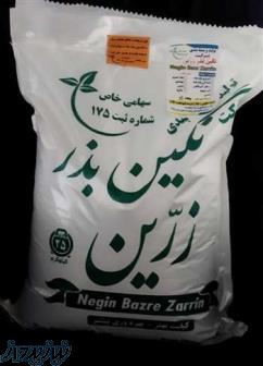 فروش بذر یونجه بغدادی