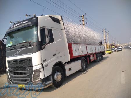 حفاظ روی دیوار شاح گوزنی لاله لیلیوم نیزار 