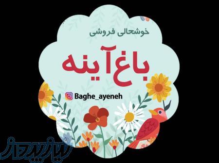 سمن دوستدار کودک و خانواده باغ آینه با معرفی کلی کتاب و بازی فکری» 