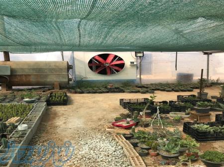 پد کولر سرمایشی گلخانه ای 