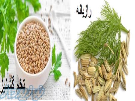 خرید و فروش رازیانه و تخم گشنیز در همدان 