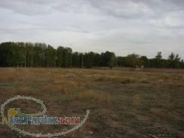 زمین 750 متری واقع در تهران با موقعیت عالی