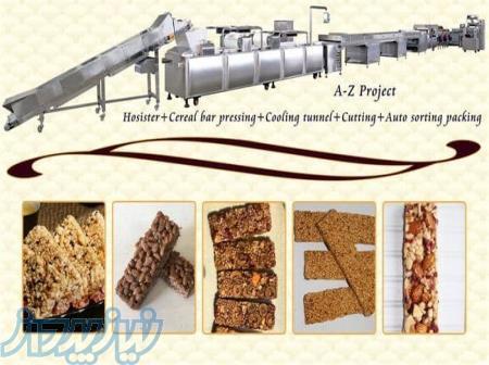 خط تولید پروتئین بار