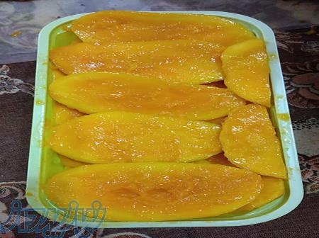 فروش انواع میوه منجمد 