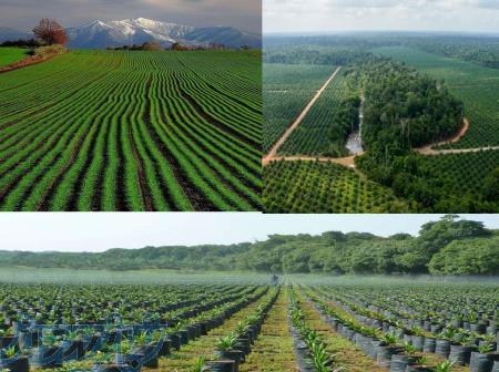 فروش شرکت رتبه 5 کشاورزی آب و کشاورزی  ابنیه کشاورزی و    