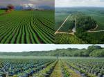 فروش شرکت رتبه 5 کشاورزی آب و کشاورزی  ابنیه کشاورزی و    