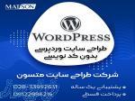 آموزش طراحی سایت فروشگاهی وردپرس 