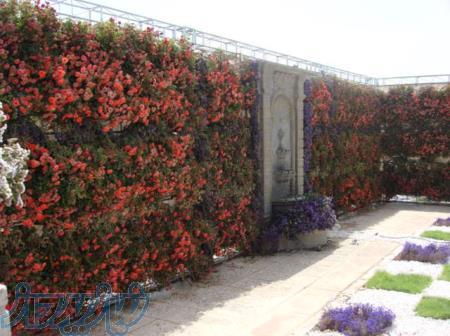 طراحی و اجرای فضای سبز 