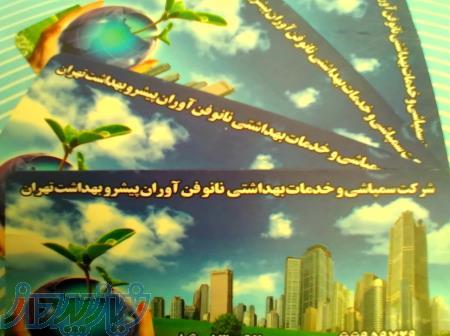 سمپاشی سوسک درشت آمریکایی و سوسک ریز 