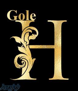 گل فروشی آنلاین گل هلند 