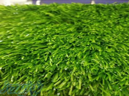 فروشگاه اینترنتی دیجی پالیزی پخش کننده چمن مصنوعی در سرتاسر ایران 