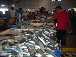 فروشگاه ماهی هفت دریا