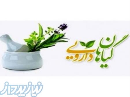 دوره آموزشی گیاهان دارویی در تبریز 
