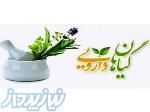 دوره آموزشی گیاهان دارویی در تبریز 