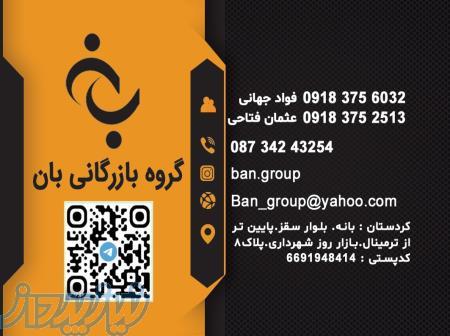 گروه بازرگانی بان 