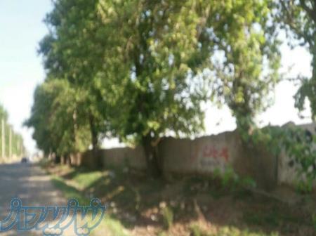 اموزش بازیگری 